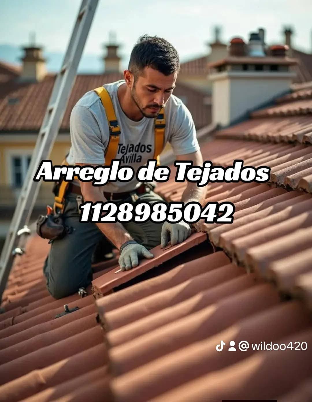 Imagen promocional compartida de una persona trabajando en un techo